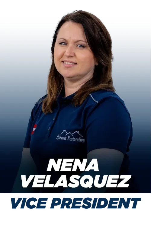 Dynamic Restoration LLC