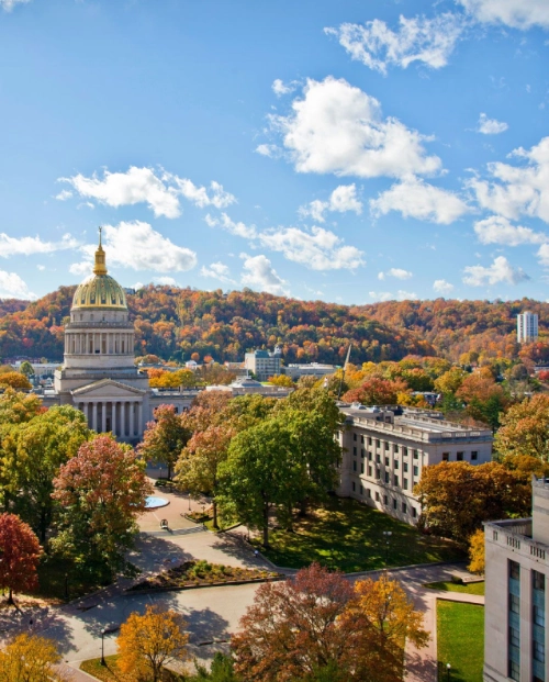 Dynamic Restoration LLC